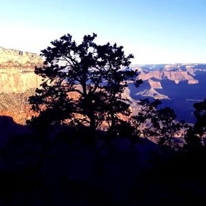 Meet your Posher, Chamiele